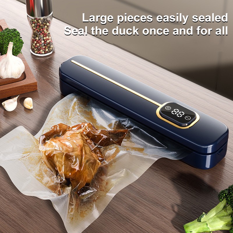 Vacuum Sealer Machine Multifunctional Portable Compact Wet Dry Dual Use