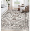 befbee 6x9 Area Rugs for Living Room - Stain Resistant