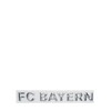 FC Bayern München Car Sticker I Chromeflex I Silver I