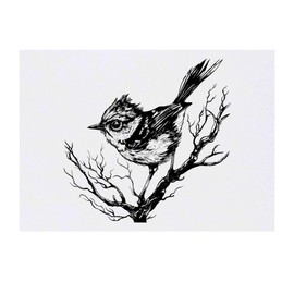 'Wren Bird on Branch' Temporary Tattoo - Water Resistant, Skin-Safe, Non-Toxic Transfer (TO00074553)