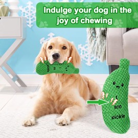 BABORUI Pickle Squeaky Dog Toys, Funny Dog Toys for Aggressive Chewers, Pickle Plush Dog Toys for Small/Medium/Large Dog Exercise and Accompany