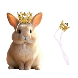 NUOSYI 1PCS Crown Tiara Headband for Cat Dogs Puppy Birds Ducks Chicken Rabbit Hamster Pets Party Birthday Grooming Hair Accessories(Gold, Elastic)