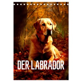 Der Labrador (Tischkalender 2026 DIN A5 hoch), CALVENDO Monatskalender