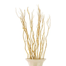 Green Floral Crafts | 12 Stem Dried Curly Willow Branches 3-4 Feet Tall - Perfect Home Decoration and Floor Vase Filler (Metallic Gold)