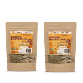 Gwennie on the GO – Immune Protection on the GO | Organic Ginger & Turmeric | USDA Certified| Digestive & Immune Support Herbal Tea |2-Pack | 5 Sachets | .44 oz