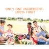 Nature’s Turn Freeze-Dried Fruit Crisps – Healthy, Gluten-Free, Crispy &