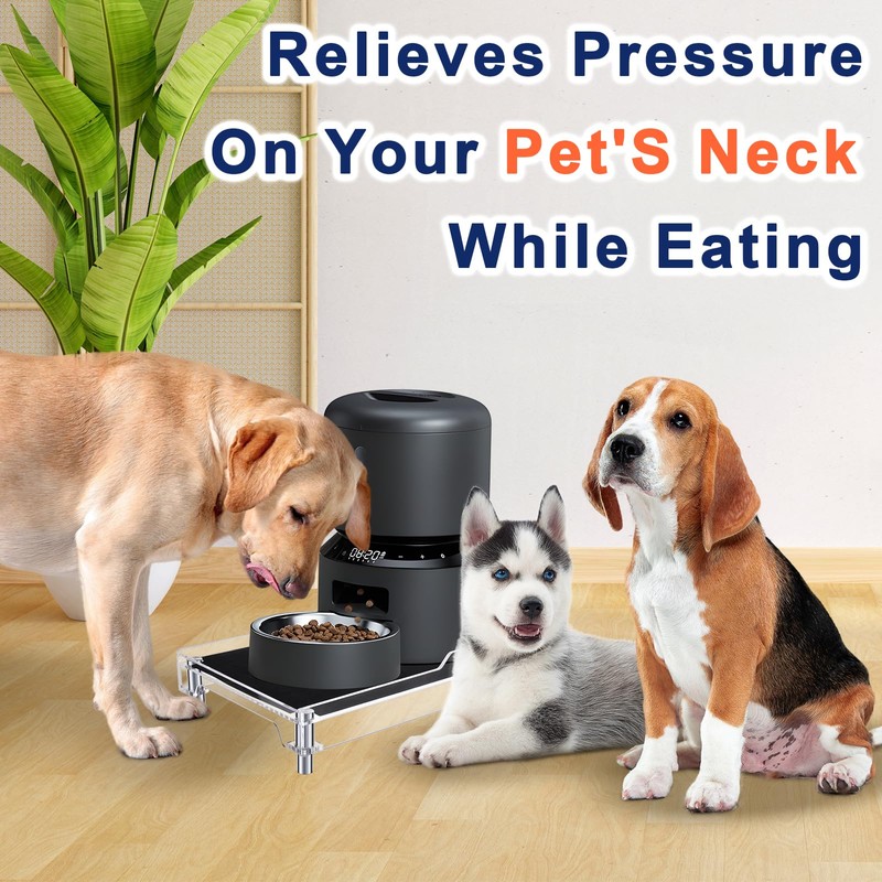 Beautyflier Raised Dog Feeder Stand Elevated Holder for Automatic Cat