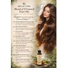 Ritual Code Premium Hair Growth Oil– Advanced Blend of 8