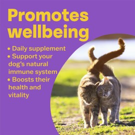 Bob Martin Conditioning Tablets for Cats and Kittens (100 Tablets) - Rich in Vitamins, Supports a Healthy Immune System, Nutritional Fish-Flavoured Supplement