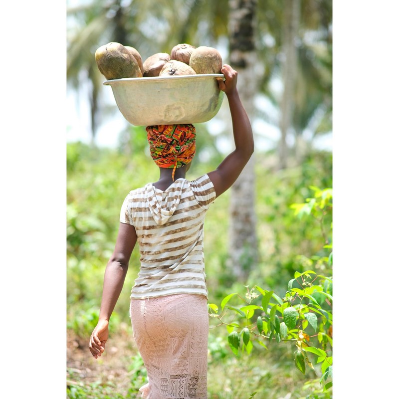 South 40 Snacks Organic Coconut Chips, Just 1 Ingredient (3.5oz