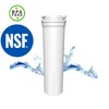 2X Fridge Ice Water Filter Compatible with 83684 836848 836860