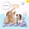 4 Pieces Rabbit Bunny Bed Guinea Pig Bed Mats Plush