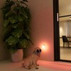 Lyridz Night Light Socket with Motion Sensor, Bright Plug-in Night