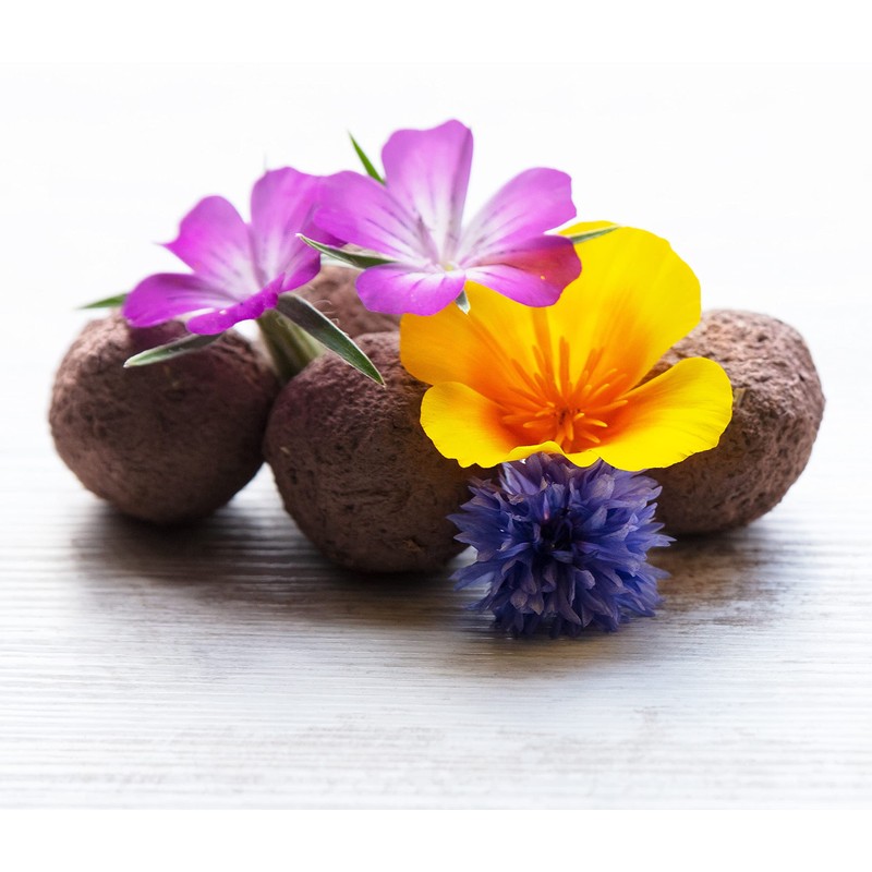 Chimney Sheep Seedbomb Kit - makes 20 to 30 bombs