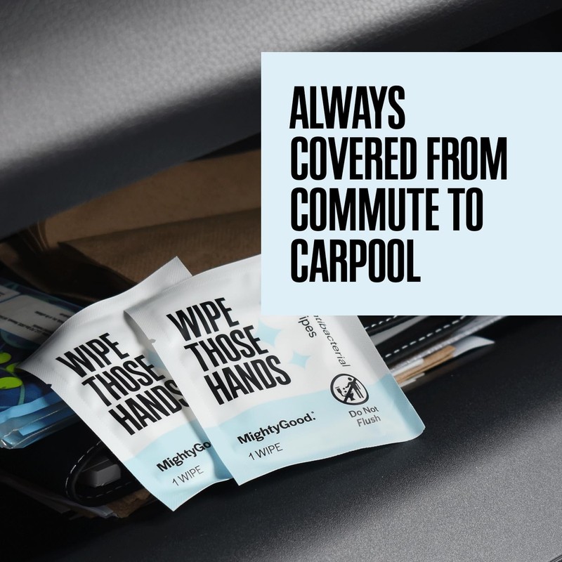 Wipe Those Hands On-The-Go Sanitizing Wipes -12 Packs of 10