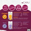 Caru - Daily Dish Smoothies - Lickable Chicken Cat Treat