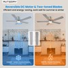 Autoday 52 Inch Low Profile Ceiling Fan with Light, Burshed