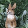 Vivid Arts PLP-127 Lookout Rabbit Plant Pal
