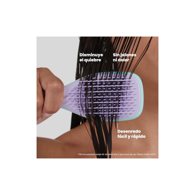 Tangle Teezer Ultimate Detangler Mini Hair Brush, Wisteria Leaf