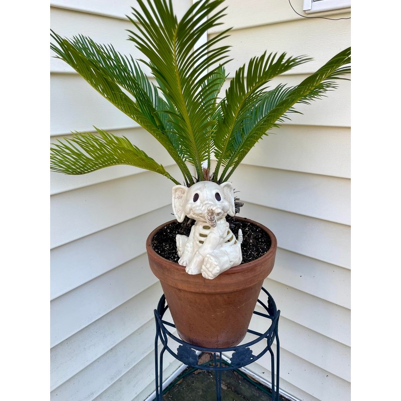 Seasons Crazy Bonez Skeleton Elephant Figurine, 5.5"