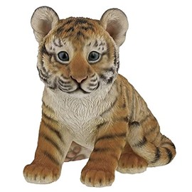 Benny's Tiger Tiger, Child, 4.7 x 7.1 x 7.1 inches (12 x 18 x 18 cm), Weight: 21.9 oz (620 g)