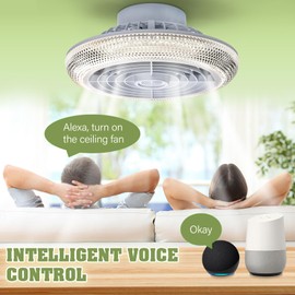 TCFUNDY Ceiling Fan with Light, 16" LED RGB Low Profile RGB Fan Light with 6 Wind Speed, App & Remote Control, Fit for Alexa, Google Assistant