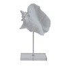 Elements Decorative White Resin Conch Shell Figurine on Stand, Modern