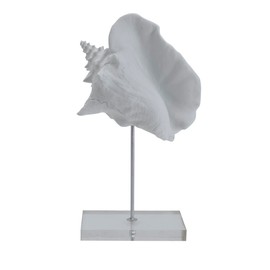 Elements Decorative White Resin Conch Shell Figurine on Stand, Modern Coastal Design