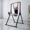 Adjustable Triangular Pull Up Dip Station Bar for Home Gym