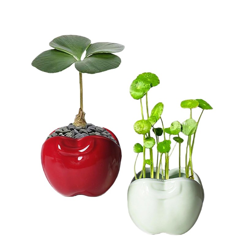 Red Apple-Shaped Ceramic Pot Novelty Succulent Planter Small Flowerpot Air