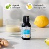Dr. Budwig Premium Omega 3 Algae Oil Vegan Lemon Ginger