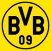 Borussia Dortmund, BVB Cushion South Tribune, Multi-Colour, 40 x 40