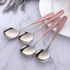 7-Inch Soup Spoons, Baikai 18/10 Stainless Steel Finished Bouillon Spoon,