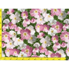 NA Dark Pink to Pinkish White Evening Primroses on Green By The Yard CFLGRE02510