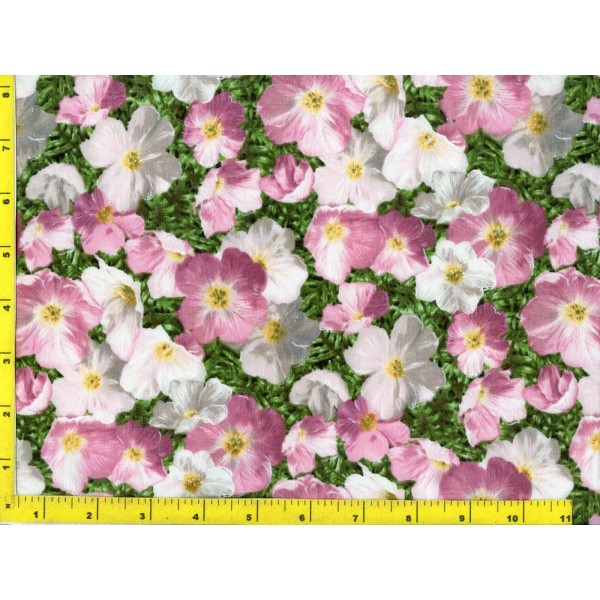 NA Dark Pink to Pinkish White Evening Primroses on Green