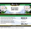 Bianca Rosa Bromelain 2400 GDU Cream (2 oz, ZIN: 519391)