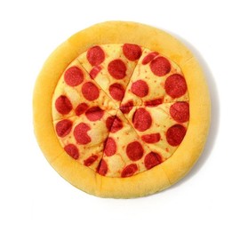 Pizza Flying Disc Toy