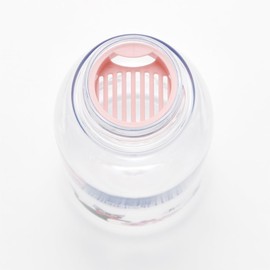 Skater PTY5-A Direct Drinking Water Bottle, 16.9 fl oz (500 ml), Kiki's Delivery Service, Studio Ghibli, With Infuser, Water Bottle