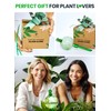 16 Oz Plant Watering Globes for Indoor Plants with Metal
