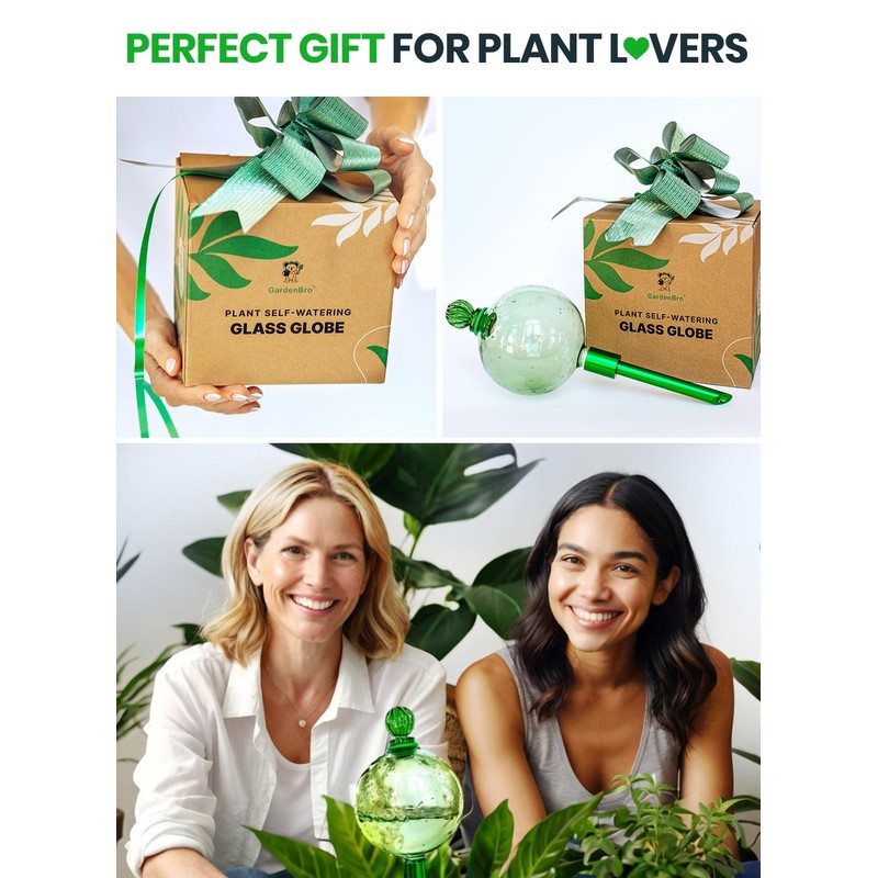 16 Oz Plant Watering Globes for Indoor Plants with Metal