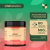 🛡️💊 VitalBotanics Quercetina + NAC + Zinc + Vitamina C