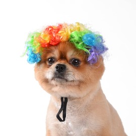 Funny Dog Cat Cosplay Wig, Perm Styling Dog Headwear,Dog Wigs for Small Medium and Large Dogs (Colourful Clown)