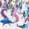 DND Miniatures Coastal Swamp & Underwater Dungeons and Dragons Starter