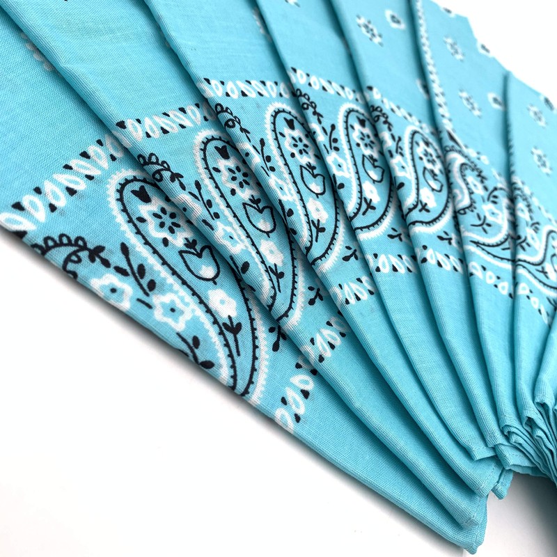 Vamqor 100% Cotton 10 Pack Fine Bandanas（Sky Blue）