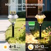 PATIOPIA Solar Pathway Lights Garden Decor for Yard, Solar Garden