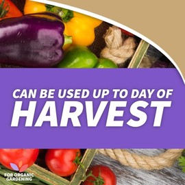 BONIDE Neem Oil 32Oz Ready-To-Use Spray Fungicide, Insecticide for Gardening