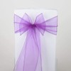 SARVAM FASHION Elegant Organza Chair Sashes Sheer Fabric Sashes for