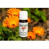 Calendula Oil Infusion 10ml
