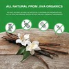 Jiva Organic Vanilla Beans 25 Count Large – Premium Grade