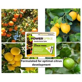 Power Spike for Citrus Trees, Citrus Tree fetilizer Spike. Feeds and fertilizes All Types of Citrus Trees and Addresses Common Deficiencies. (Power Spike Citrus Triple Pack)